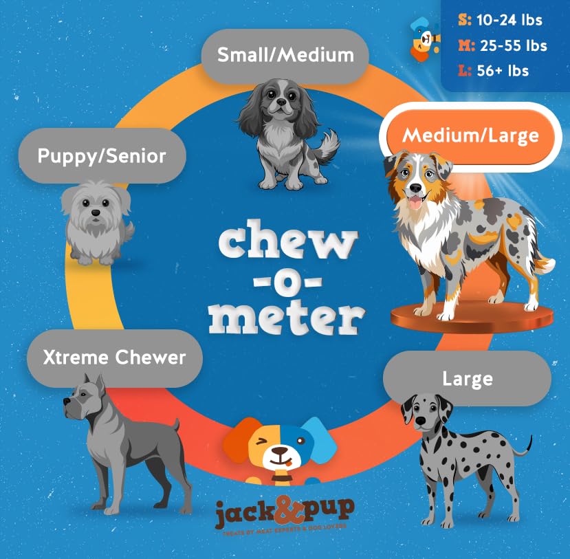 Jack&Pup hand holding stick next to ruler shows 6-inch size for medium and large dogs