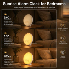 JALL mood lights array showing 17 modes for customizable ambience benefit