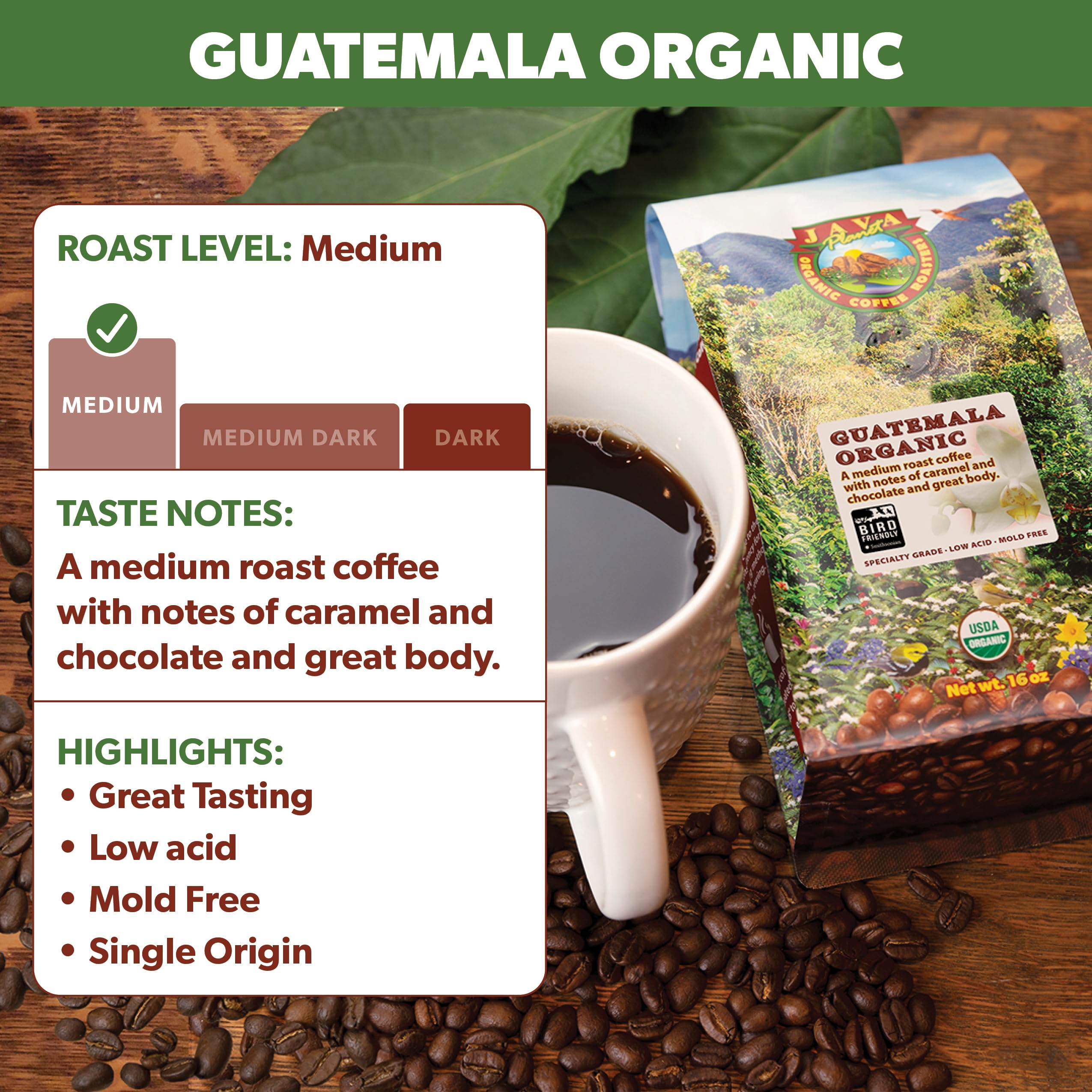 Java Planet cafetera francesa en uso resaltando extracción suave