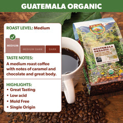 Java Planet cafetera francesa en uso resaltando extracción suave