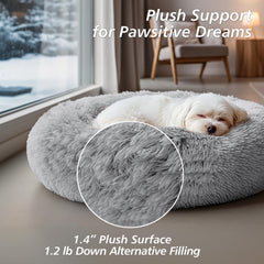JOLLYVOGUE perro acurrucado en cama mostrando calma y soporte