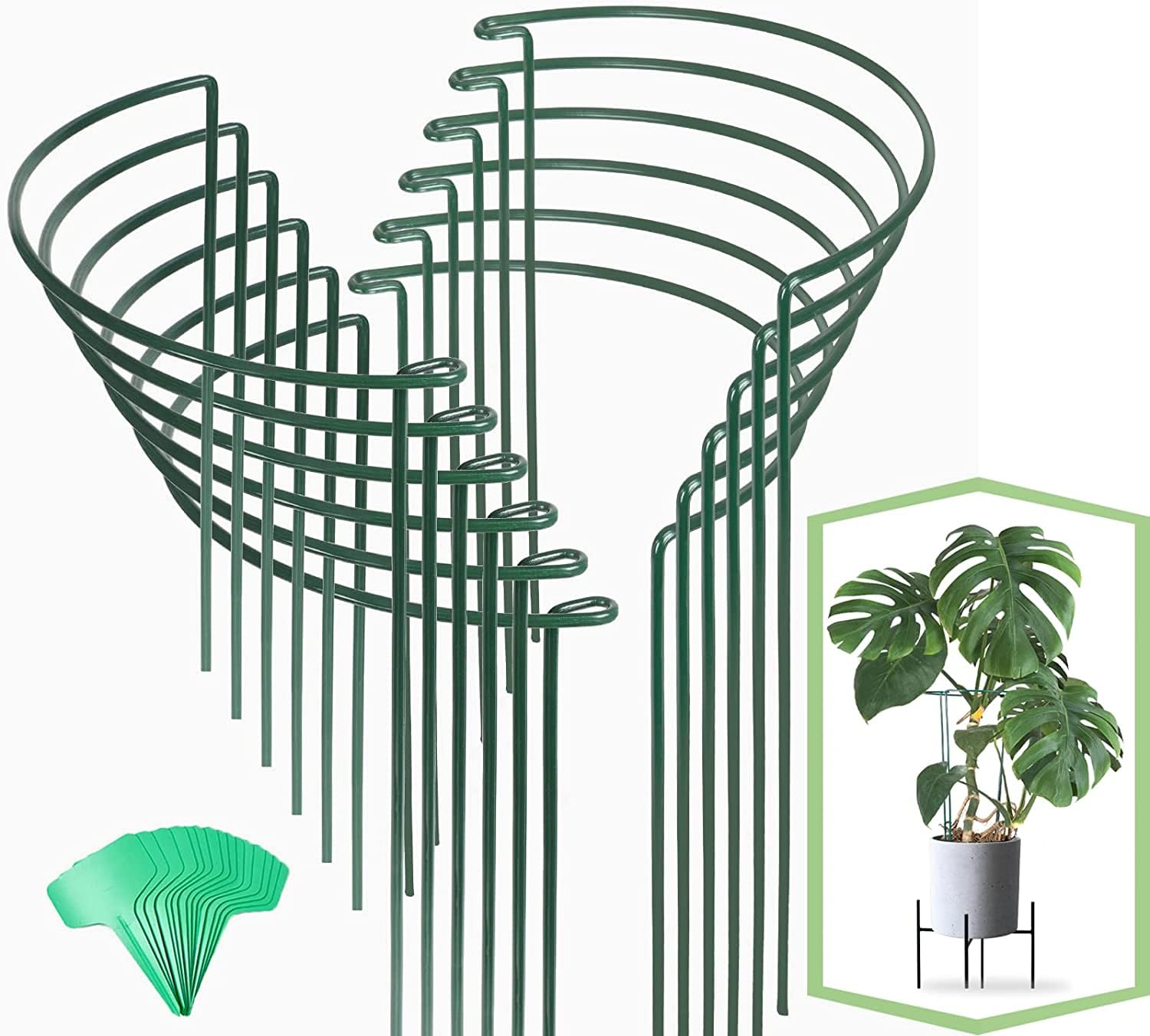 joyhalo front packaging showing 12 stakes and neat display benefit