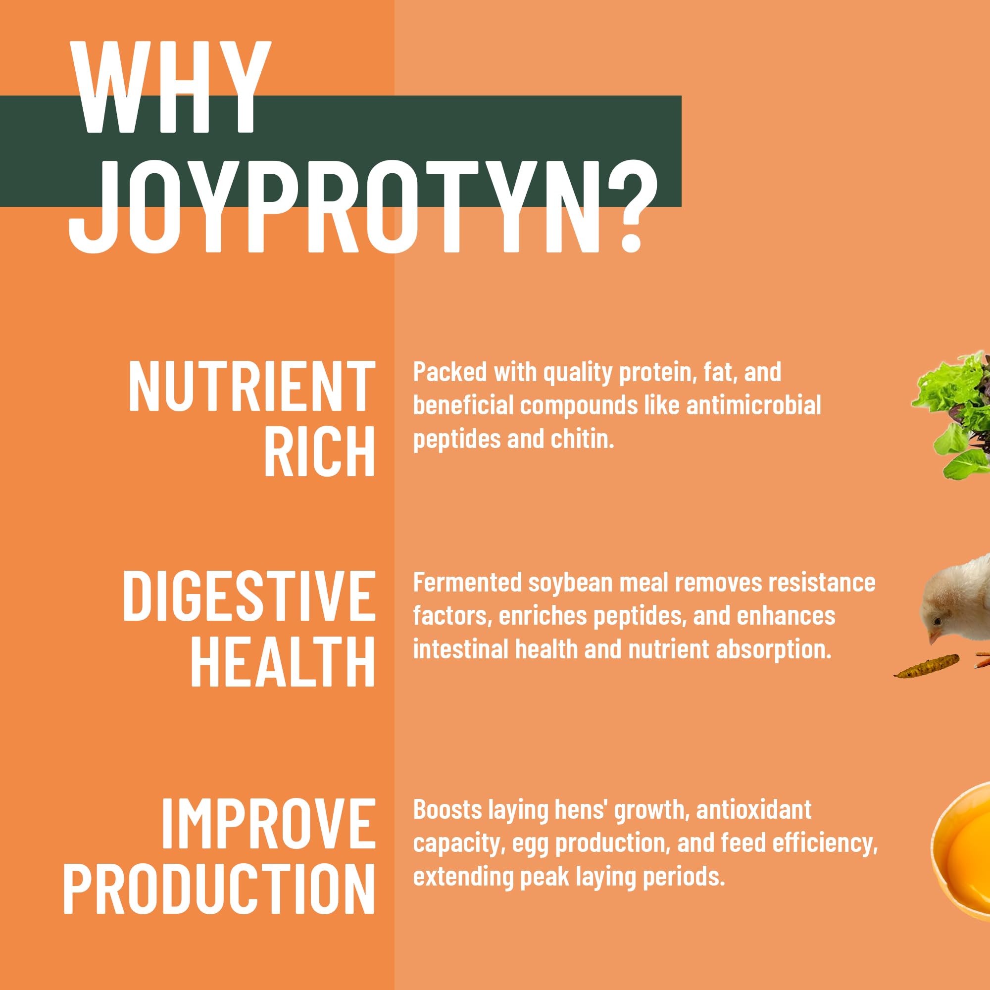 Joyprotyn detalle de textura crujiente de larvas secas con alto valor nutritivo