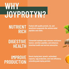 Joyprotyn detalle de textura crujiente de larvas secas con alto valor nutritivo