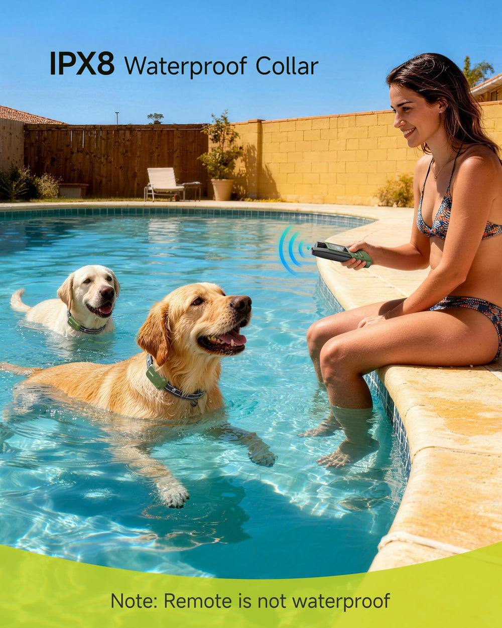 Jugbow collar resistente en agua, uso confiable en piscina o lluvia