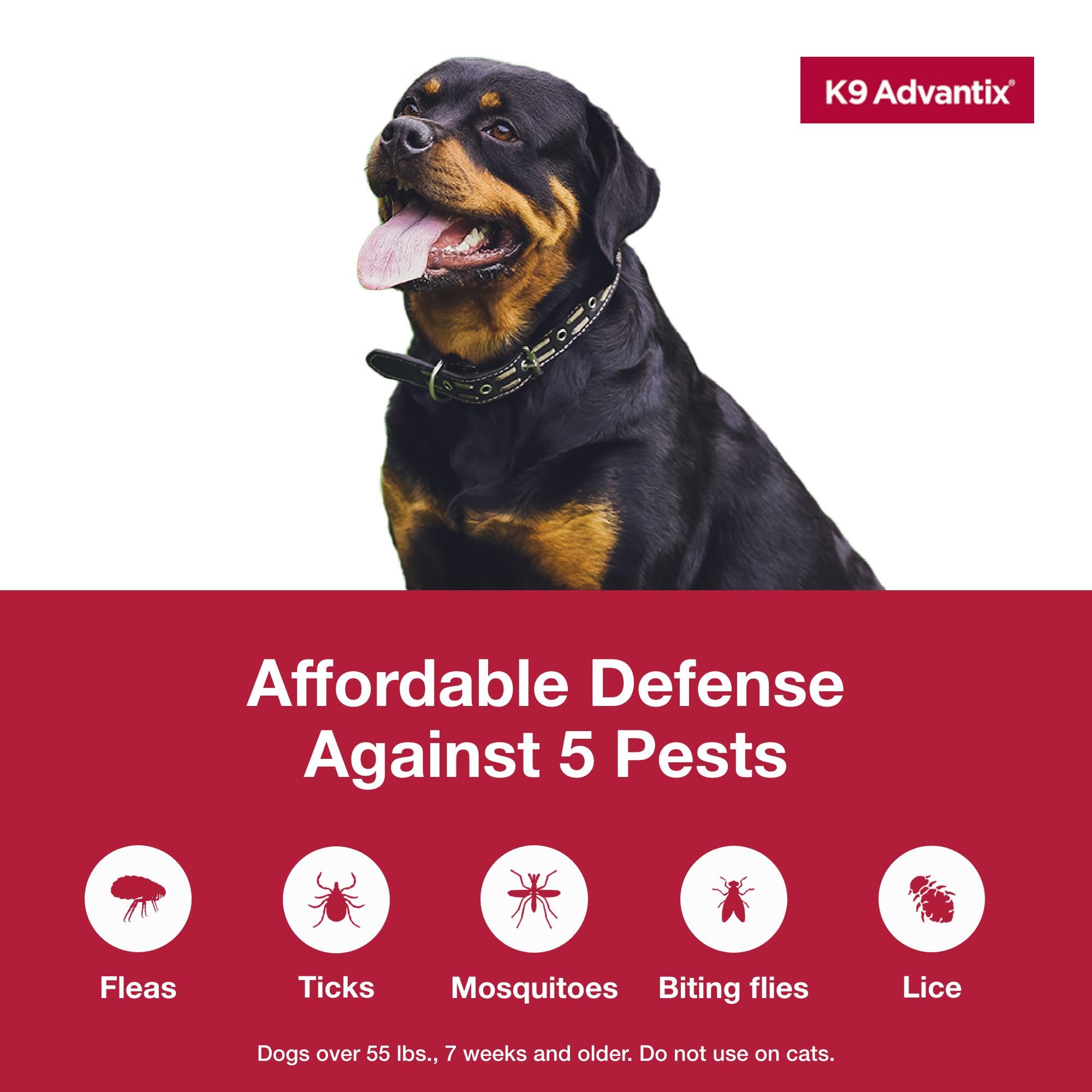 K9 Advantix aplicando en la nuca del perro para protección rápida y localizada