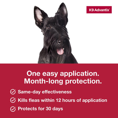 Comparación de tamaño K9 Advantix con silueta de perro 11–20 lb para elegir la dosis correcta