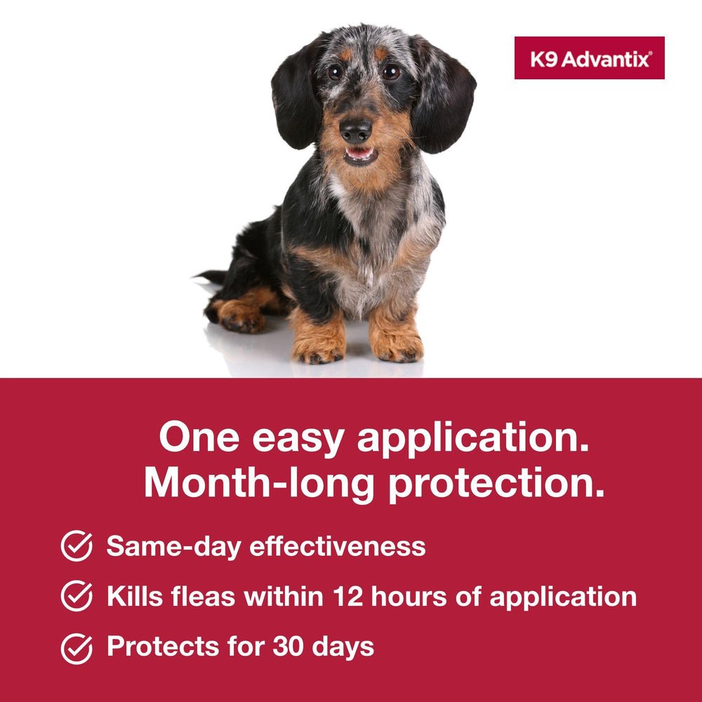 K9 Advantix comparación de tamaño del dosificador para perros pequeños