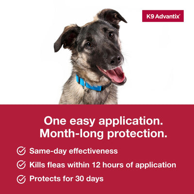 Comparación de tamaño de pipeta K9 Advantix junto a una regla para escala