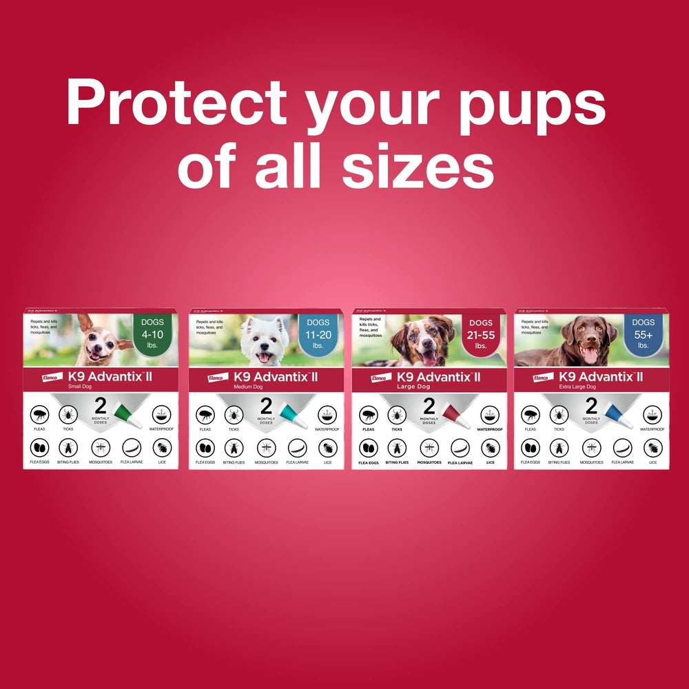 K9 Advantix presentación de paquetes múltiples para stock doméstico