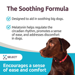 K9 Select beef-flavored tablet close-up demonstrating chewable appeal