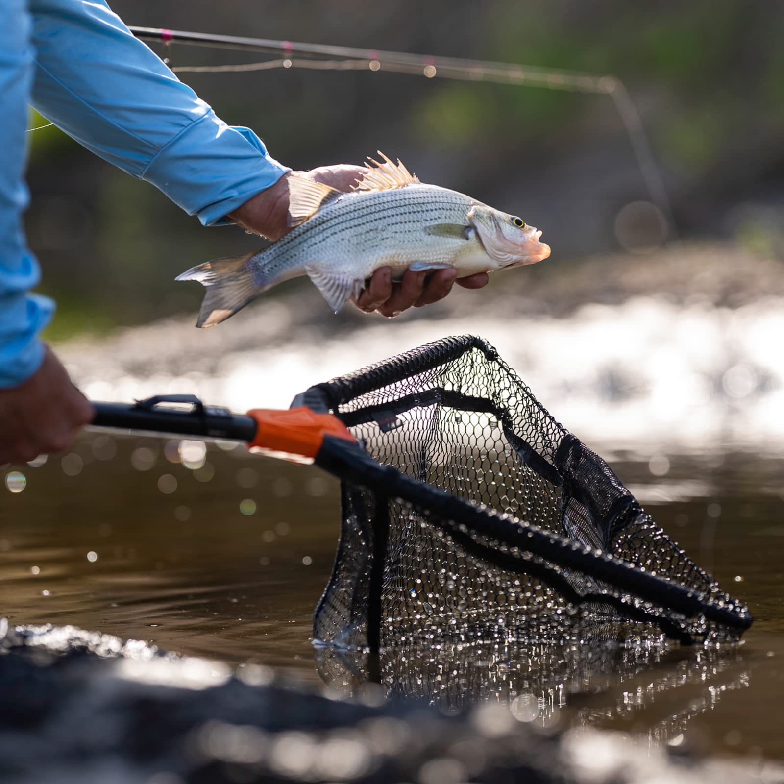 KastKing escala integrada en la red para medir peces sin sacarlos