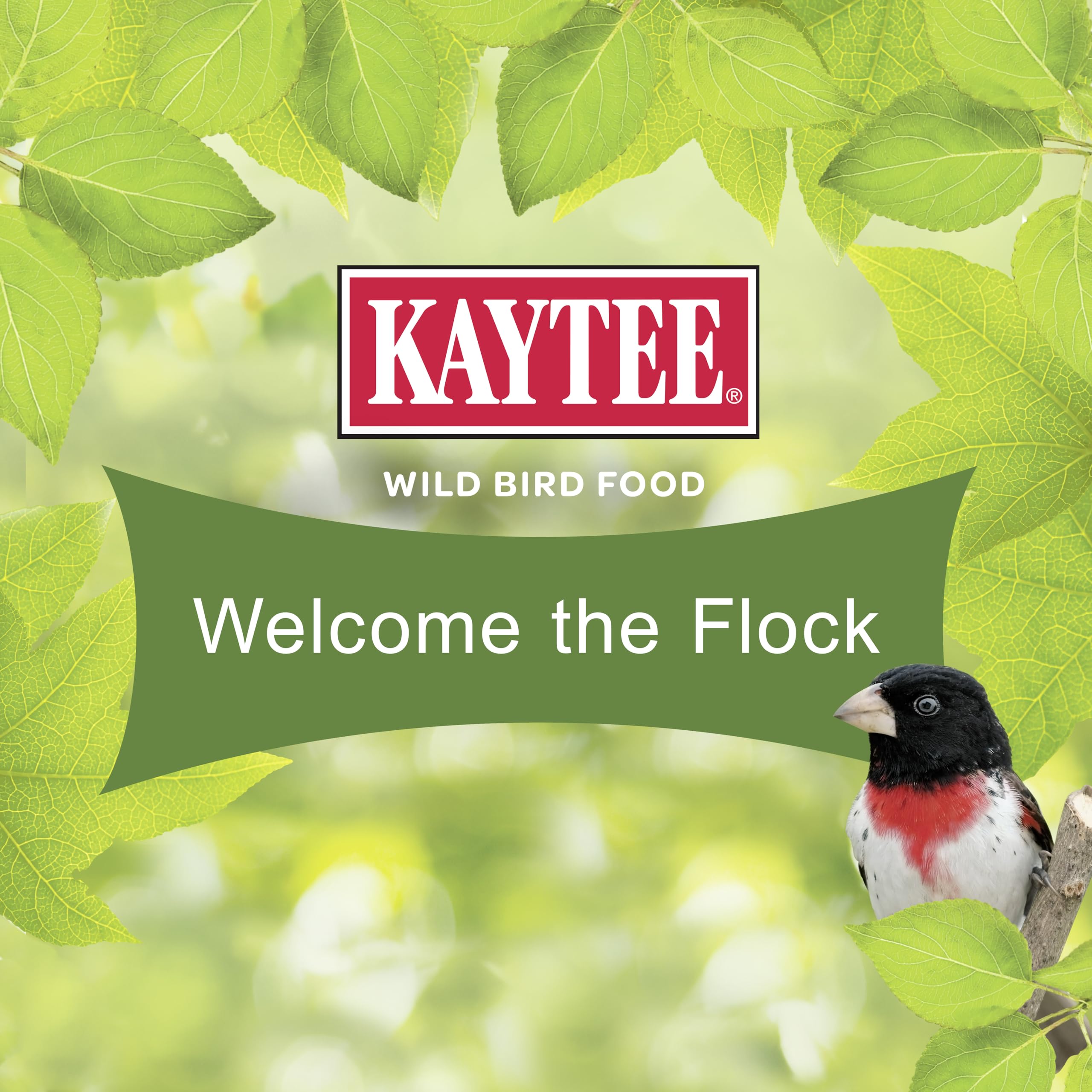 Kaytee backyard feeding station with feeder and water for more visitors