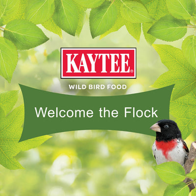 Kaytee backyard feeding station with feeder and water for more visitors