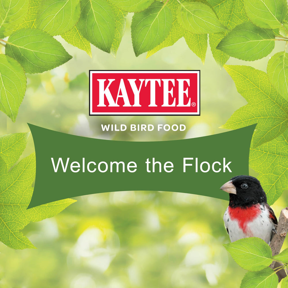 Kaytee backyard feeding station with feeder and water for more visitors