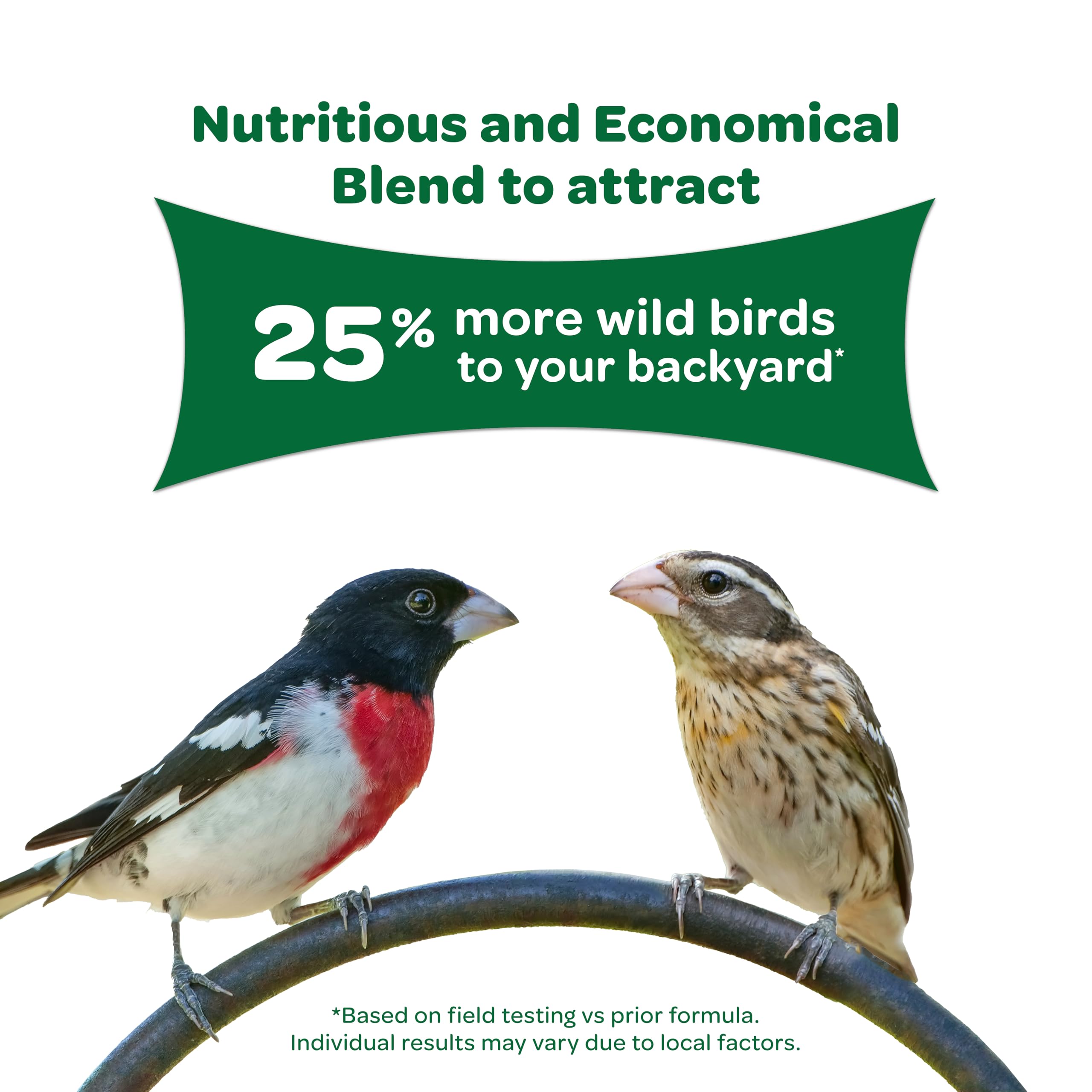 Kaytee mezcla en comedero plataforma atrayendo varias especies de aves