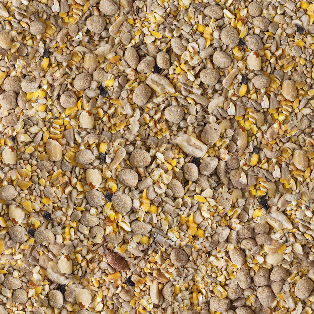 Kaytee primer plano de nuggets de sebo y semillas, fácil de servir
