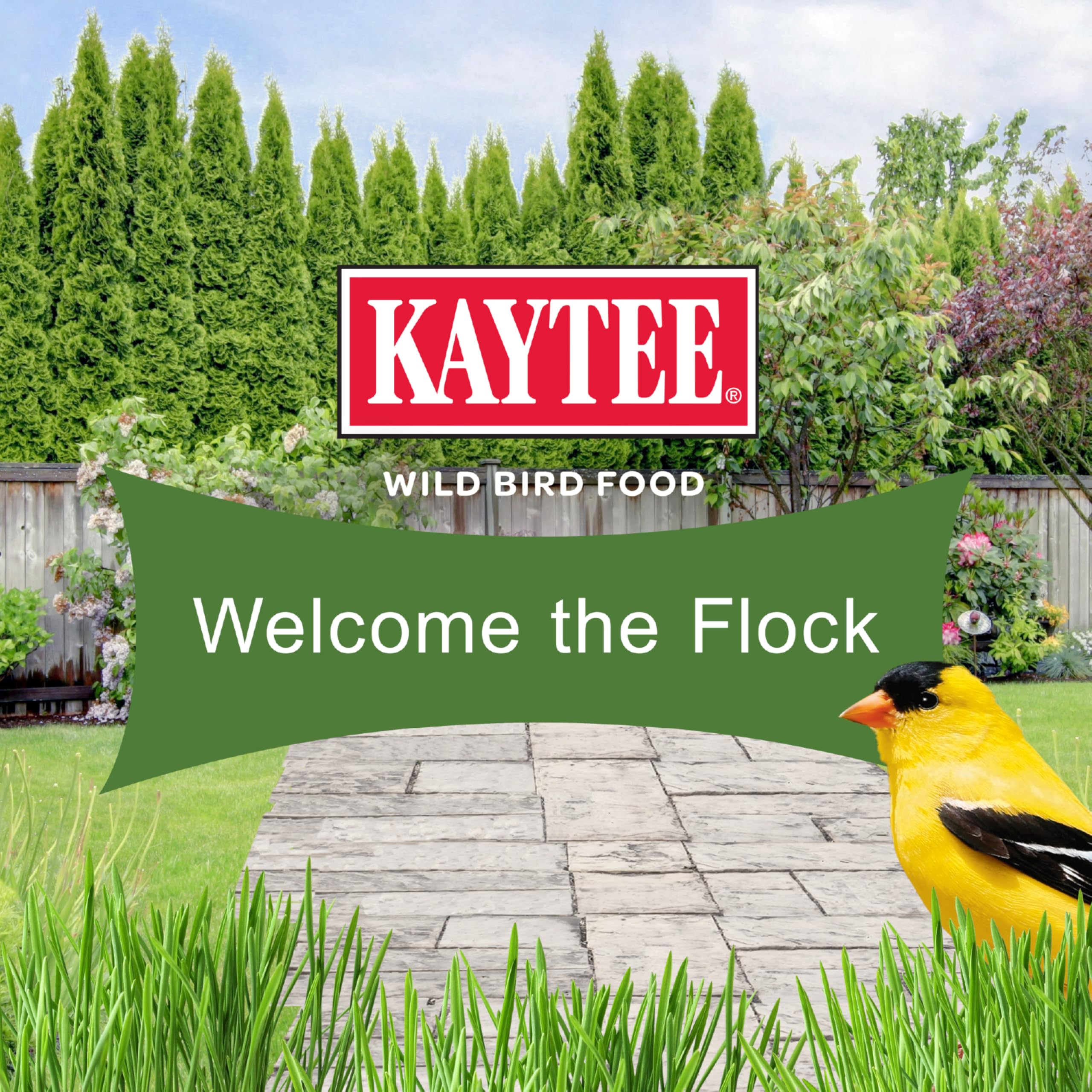 Kaytee bolsa de 9.75 lb para comparar tamaño y duración del producto