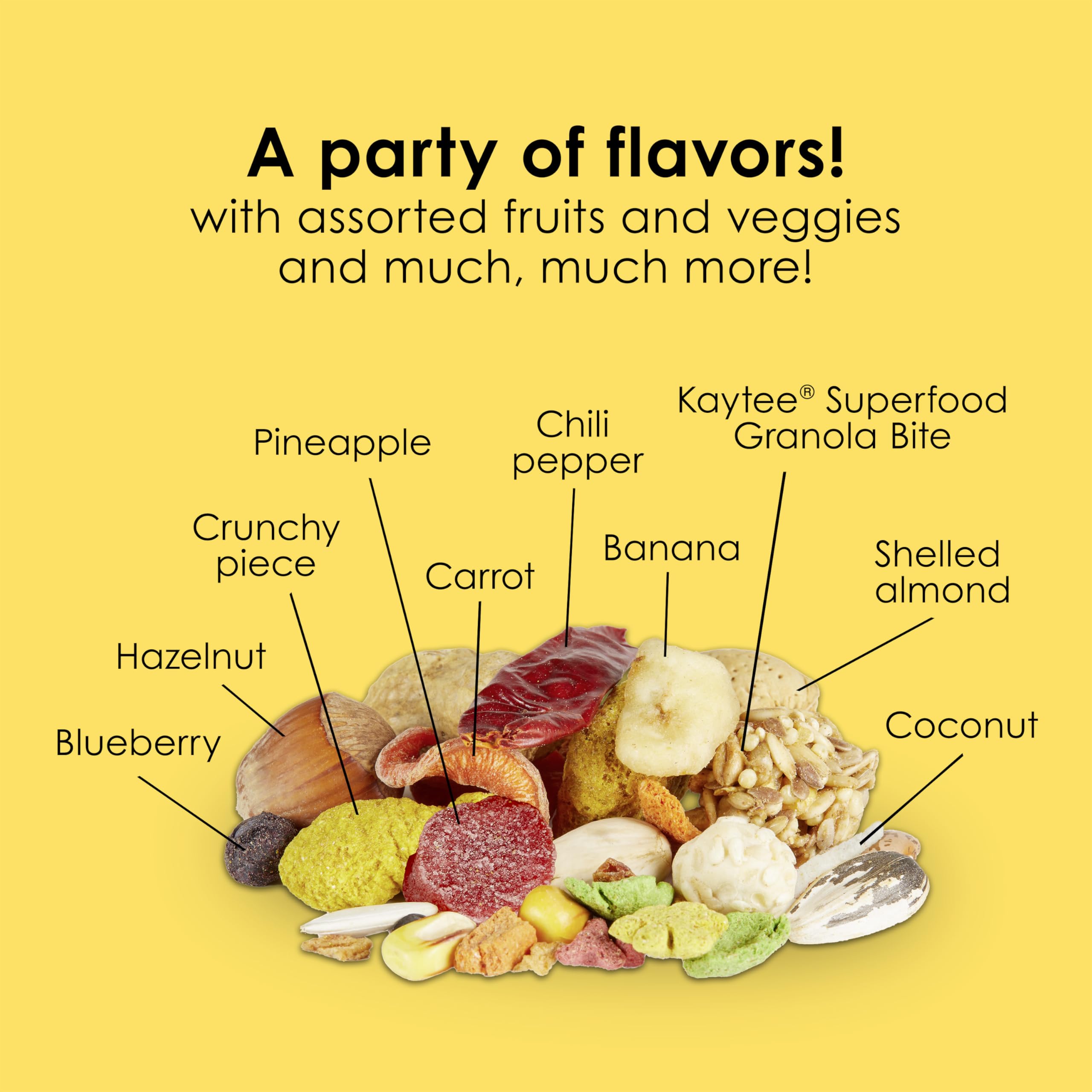Kaytee guacamayo con plumaje vibrante tras alimentación nutritiva
