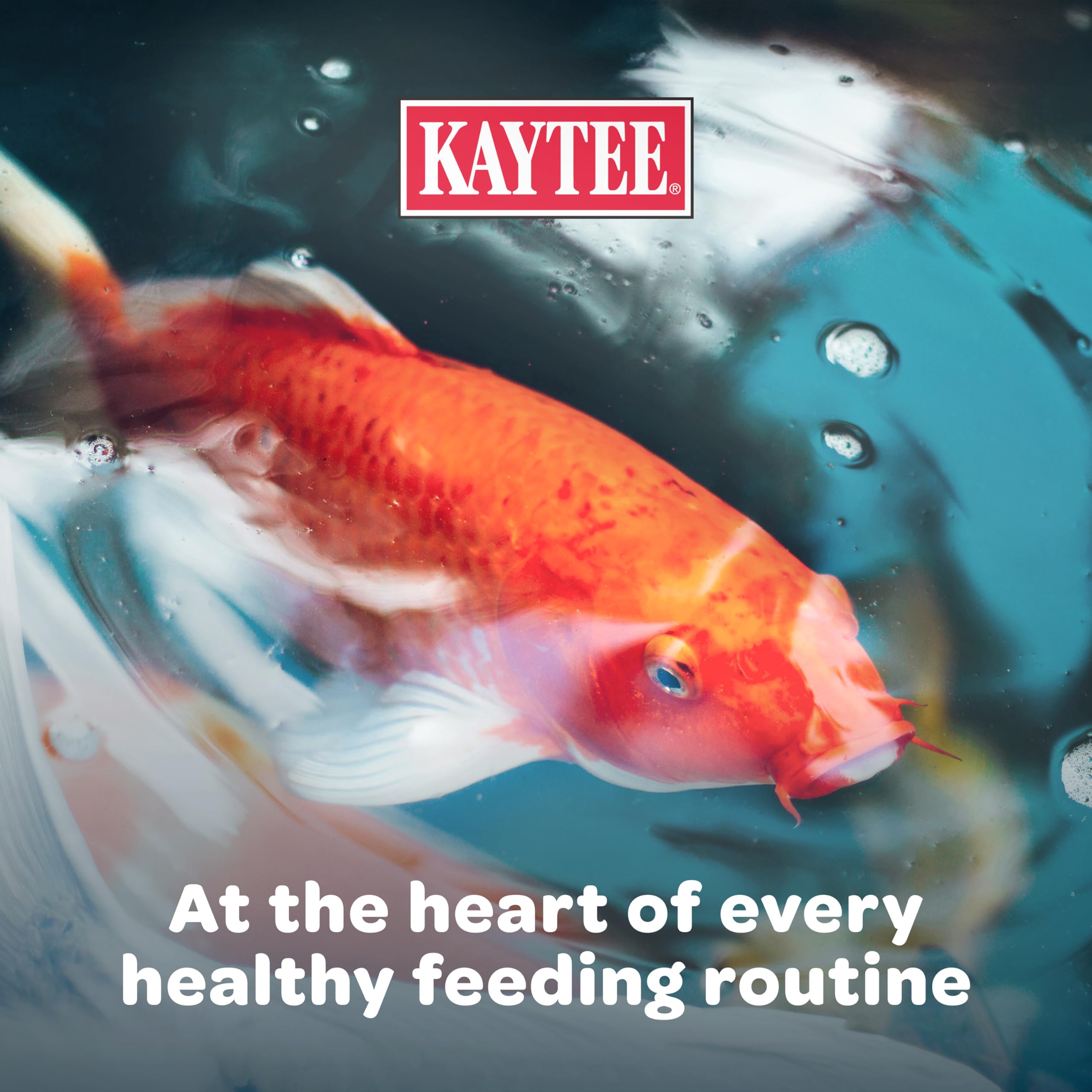 Kaytee Koi’s Choice ingredient highlight showing fish meal and oil