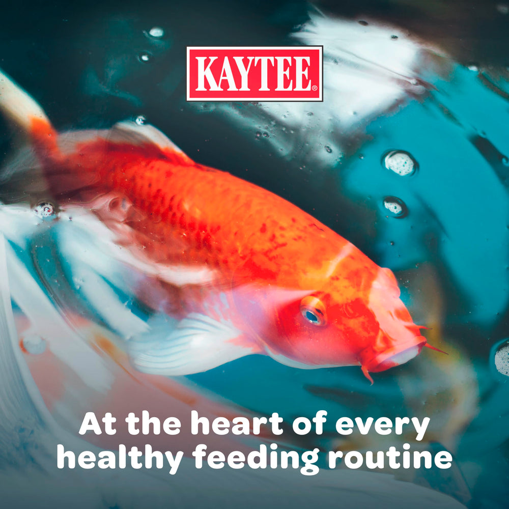 Kaytee Koi’s Choice ingredient highlight showing fish meal and oil