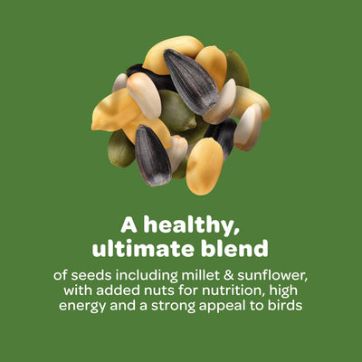 Kaytee peanuts and striped sunflower detail showing high-energy ingredients