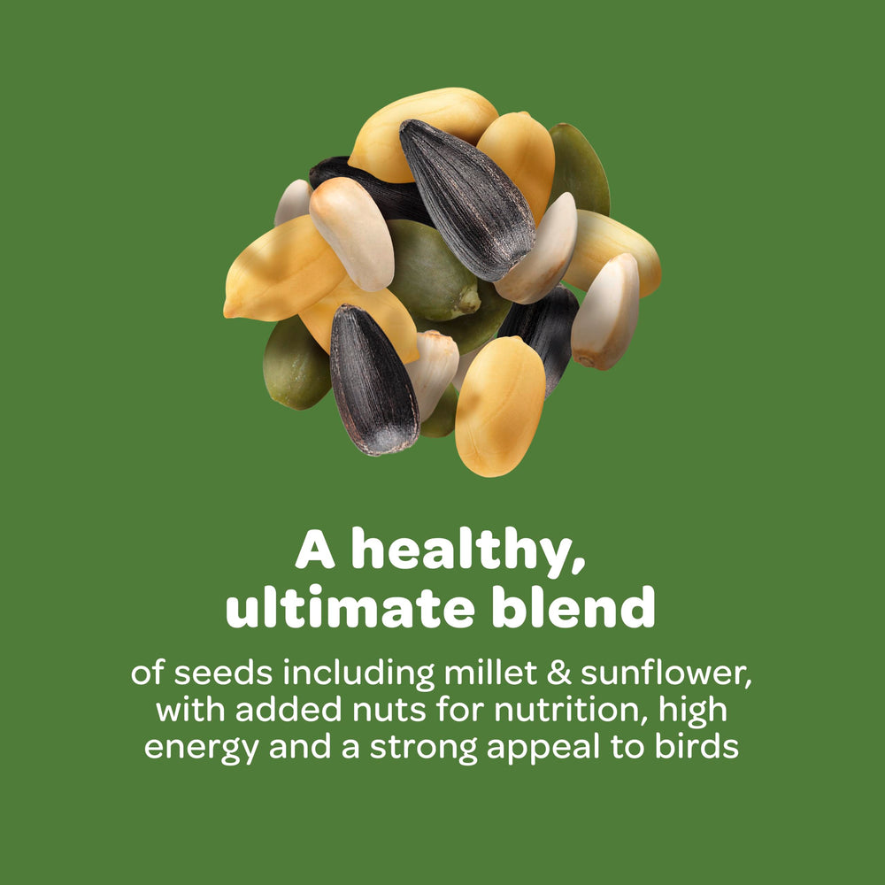Kaytee peanuts and striped sunflower detail showing high-energy ingredients