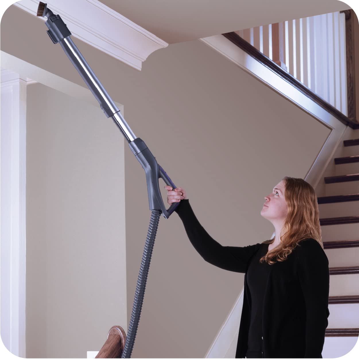 Kenmore 600 Series Pet Powermate lifting pet hair from upholstery, deep-clean benefit
