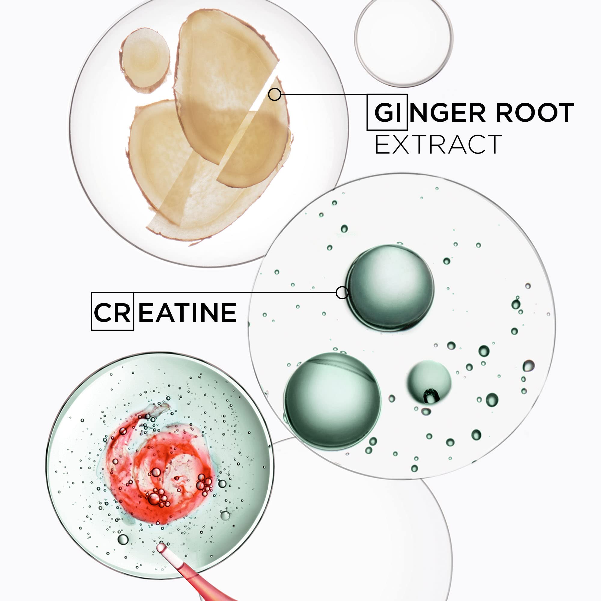 KÉRASTASE Genesis comparación de tamaño para referencia de 250 ml