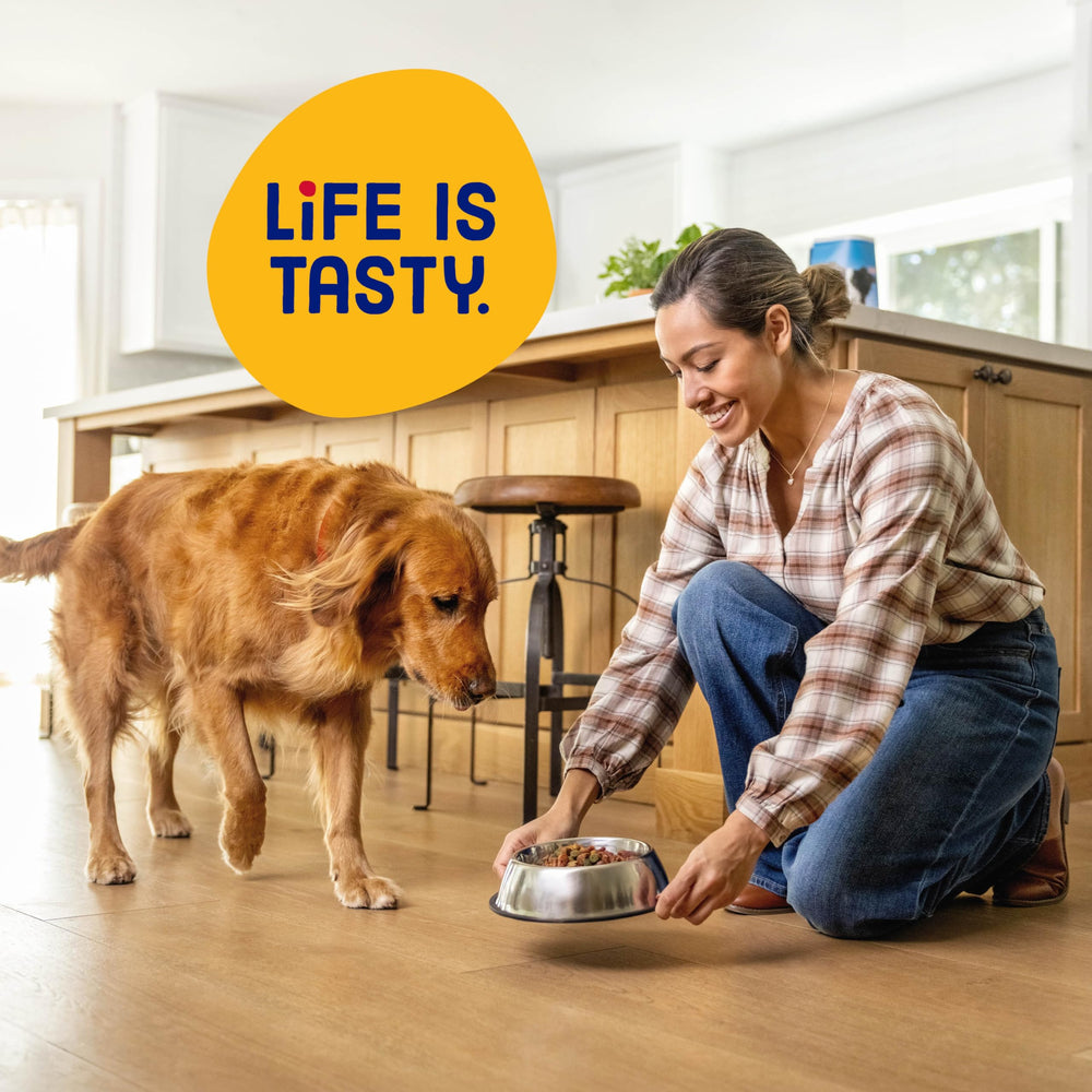 Kibbles 'n Bits dog eating from bowl showing enjoyment and palatability benefit