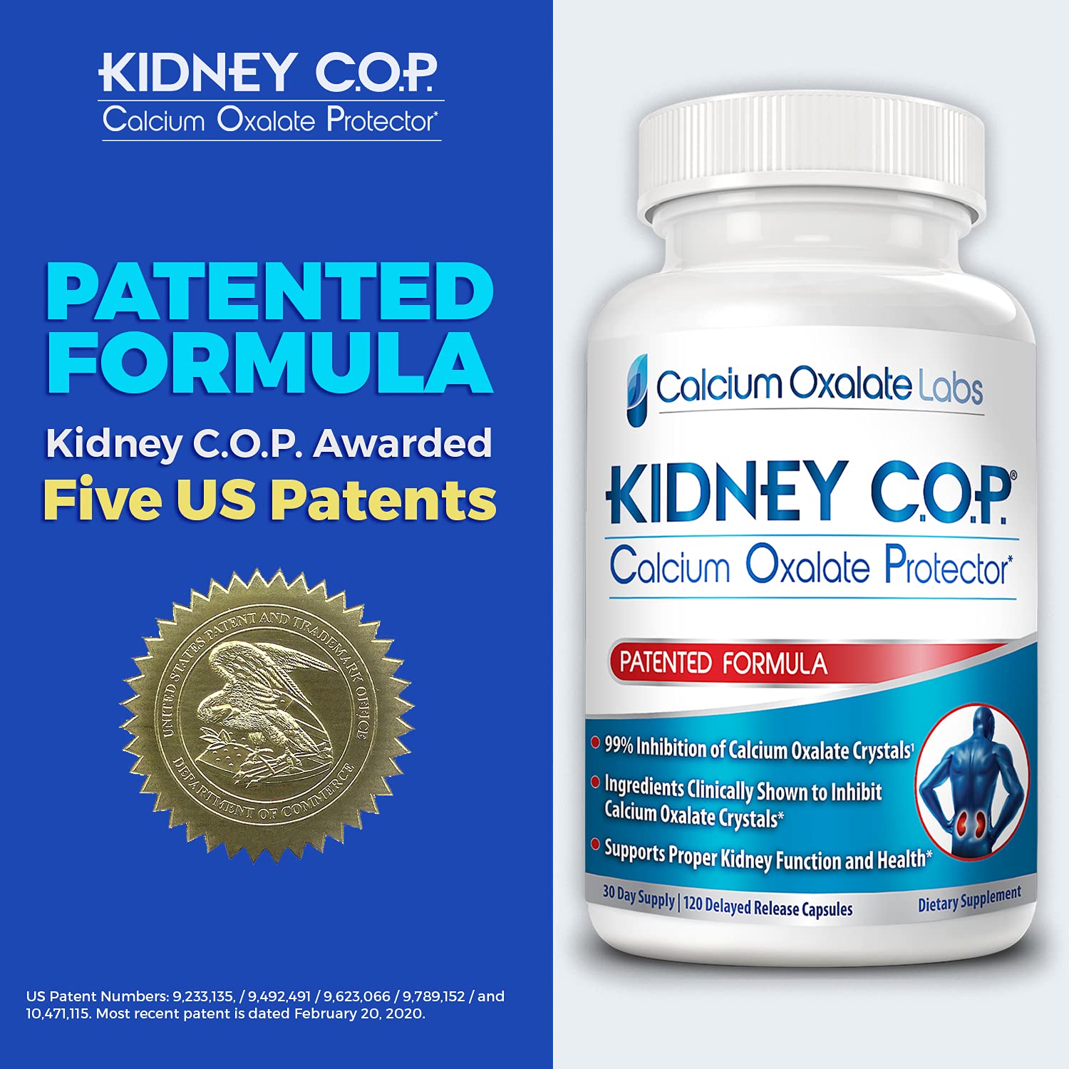 KIDNEY C.O.P. cápsulas en mano para comparar tamaño y dosificación práctica