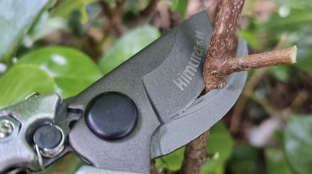 Kimura conjunto en entorno de jardín mostrando uso profesional