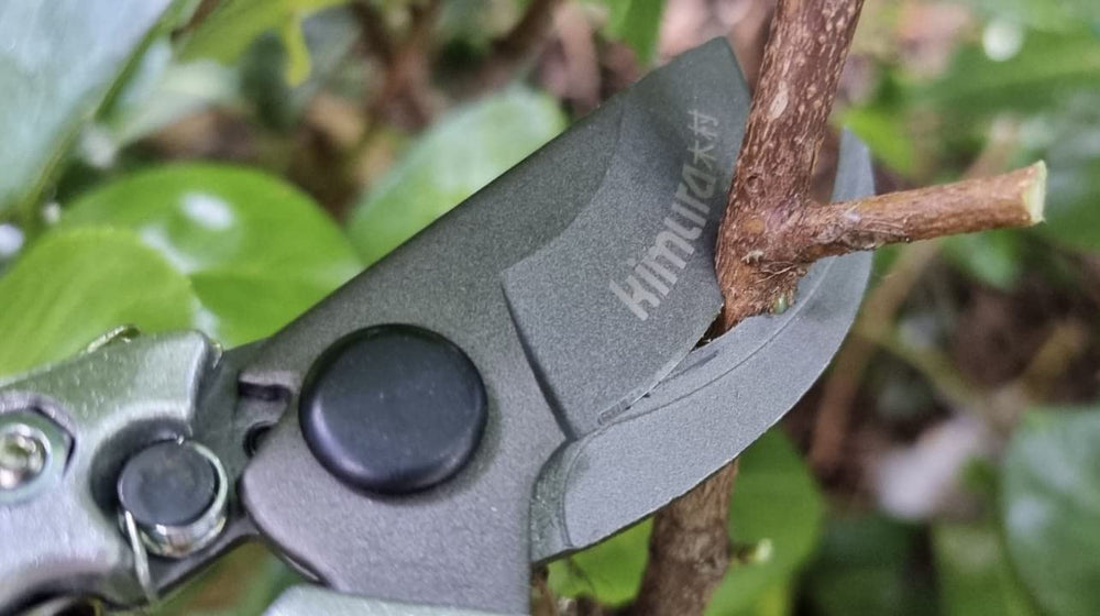 Kimura conjunto en entorno de jardín mostrando uso profesional