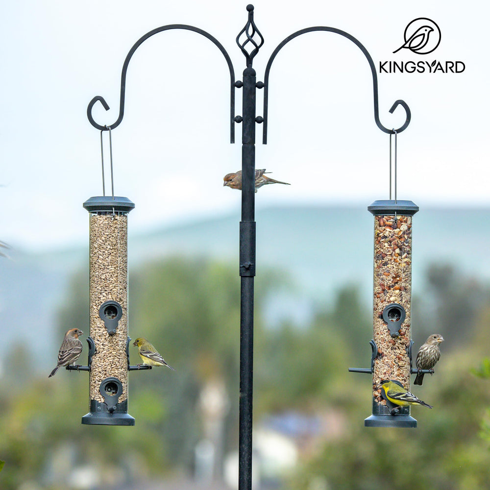 Kingsyard comedero en jardín con aves mostrando ambiente natural
