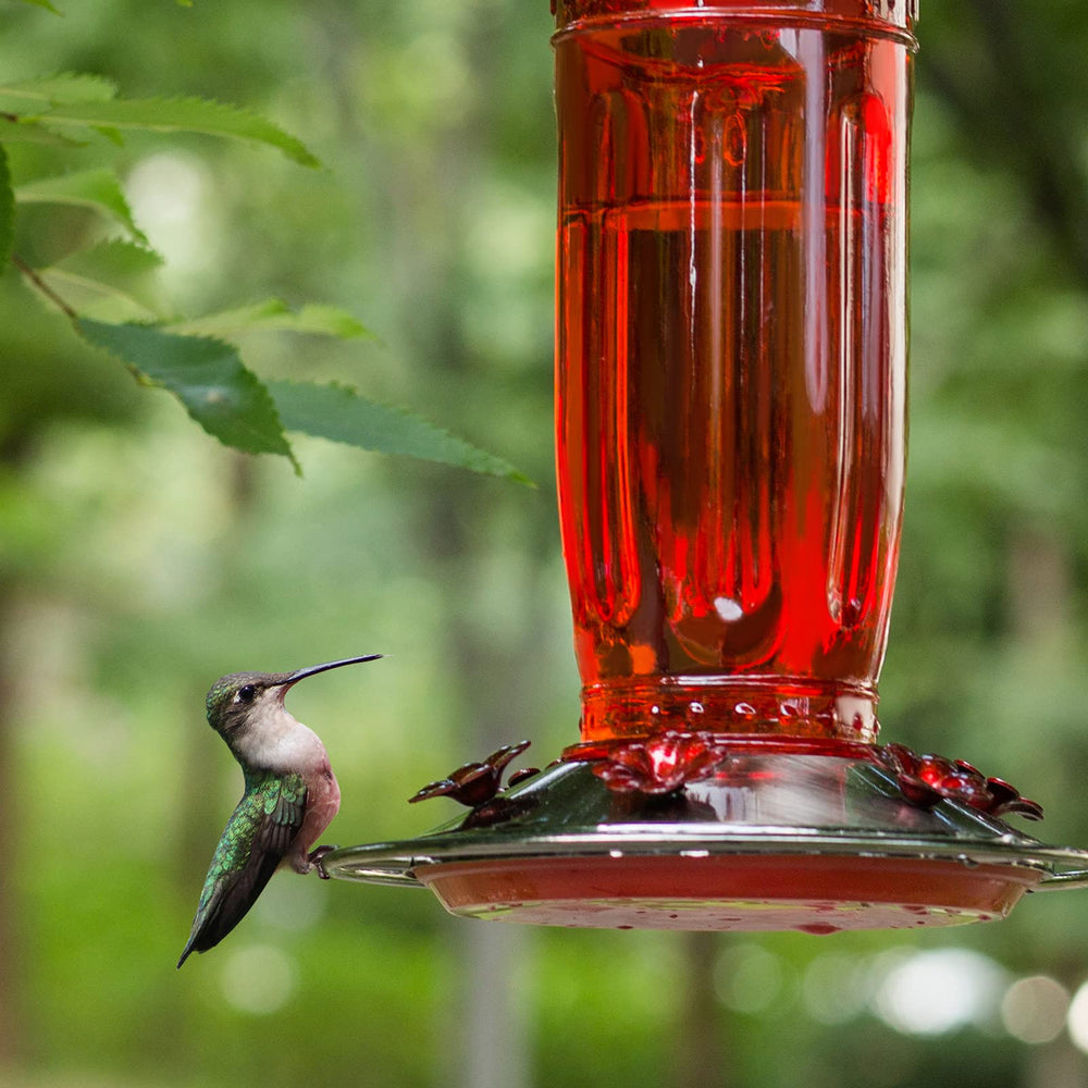 Kingsyard detalle de puerto floral que facilita alimentación simultánea de colibríes