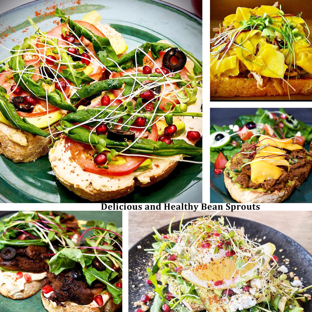 Kitmiido tapa PP con malla en primer plano para enjuagues seguros