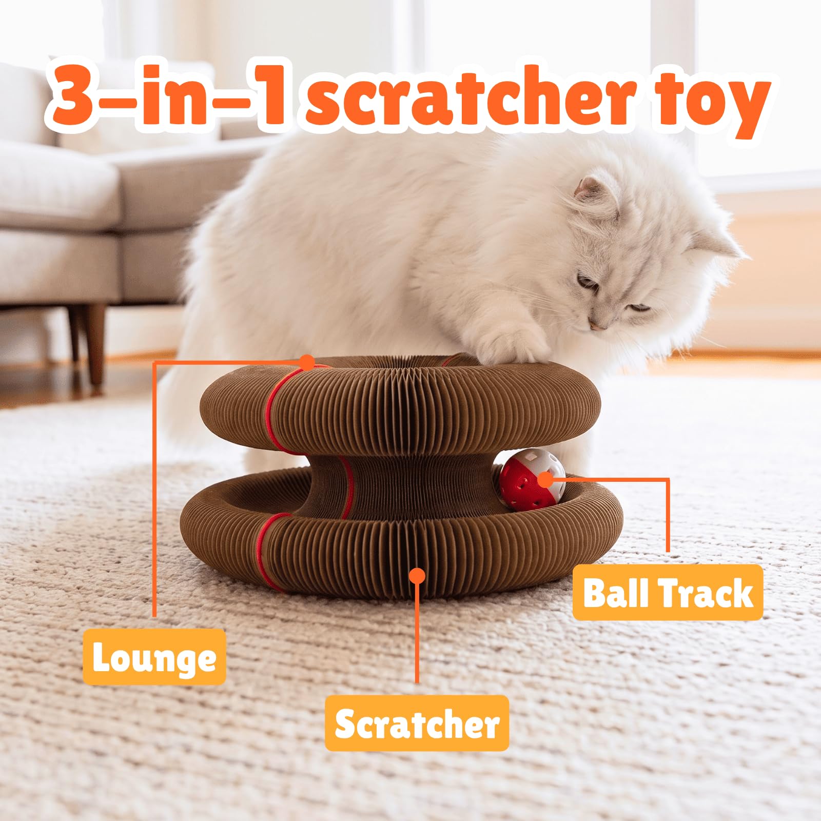 KITTY KURLZ bola en la pista con campana para estimular juego y movimiento