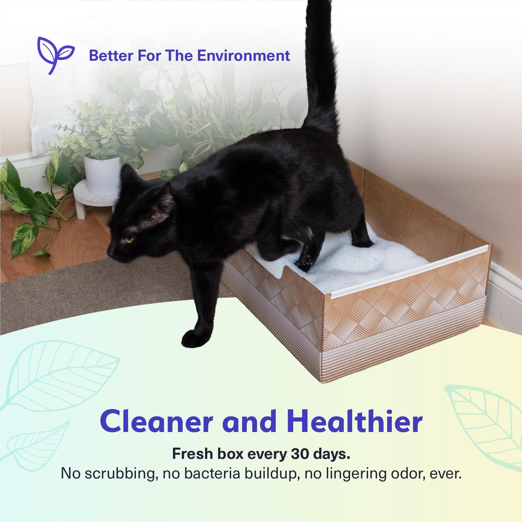 Kitty Poo Club comparación de tamaño con manos, manejo práctico