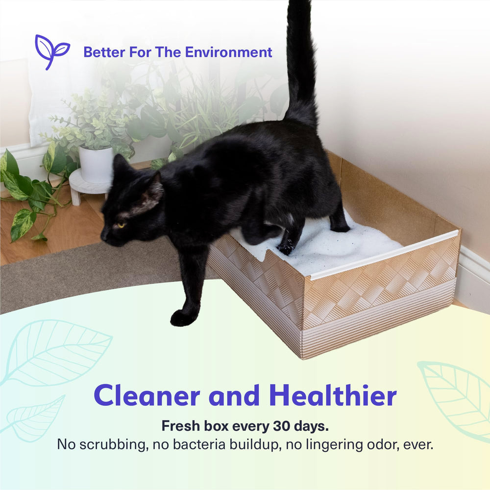 Kitty Poo Club comparación de tamaño con manos, manejo práctico