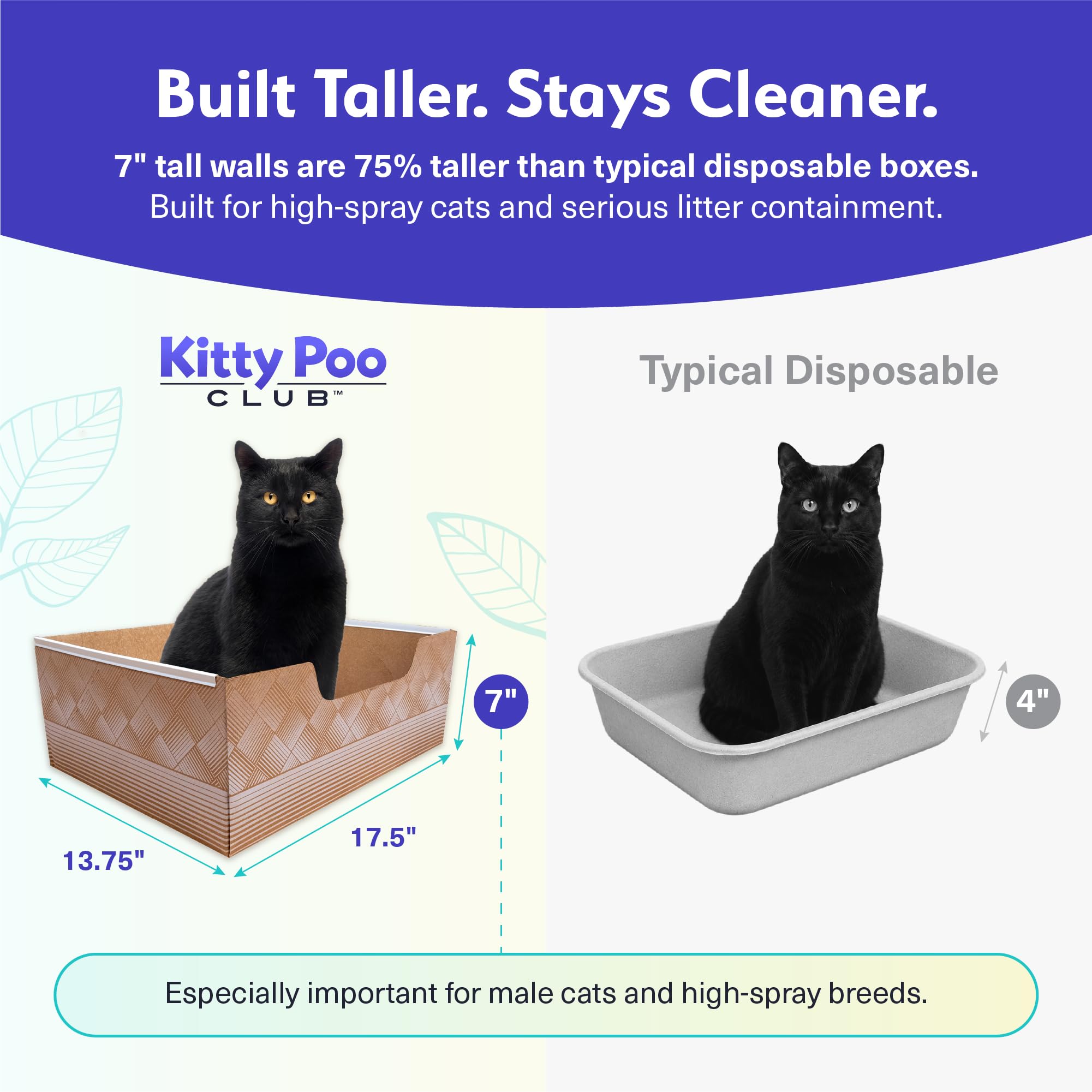 Kitty Poo Club gato usando la caja, facilidad y limpieza instantánea