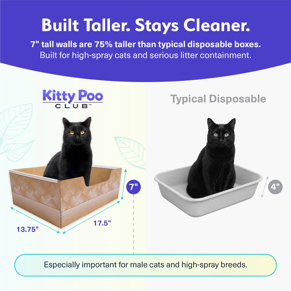 Kitty Poo Club gato usando la caja, facilidad y limpieza instantánea