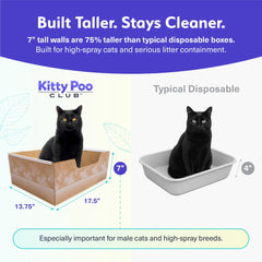 Kitty Poo Club gato usando la caja, facilidad y limpieza instantánea