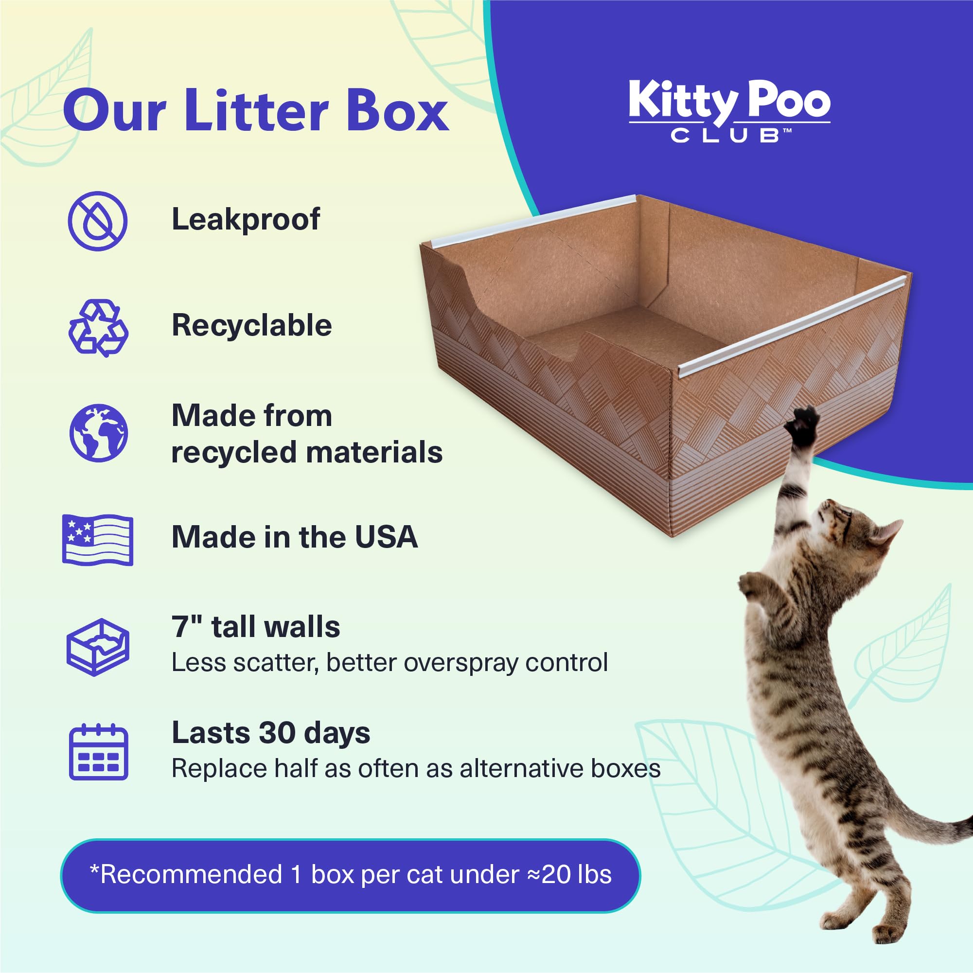 Kitty Poo Club textura de la arena mostrando absorción y control de olor