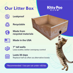 Kitty Poo Club textura de la arena mostrando absorción y control de olor
