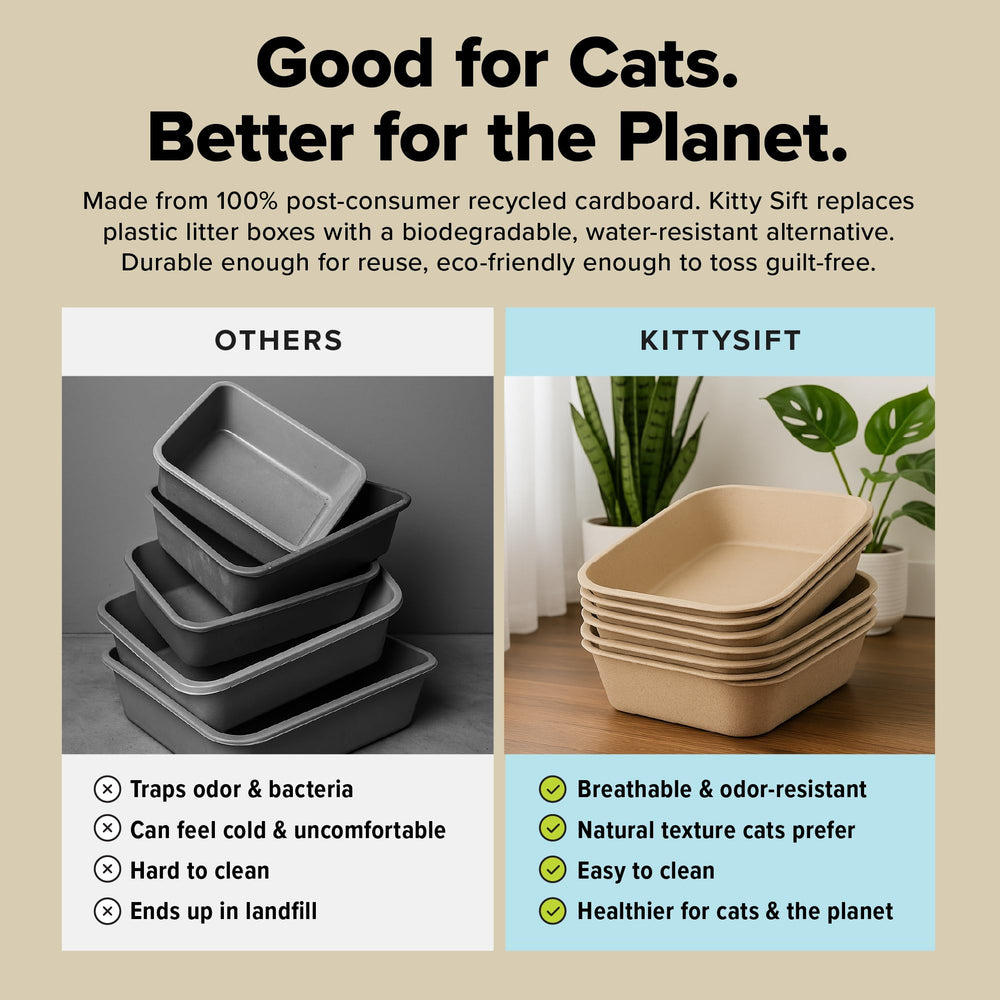 Kitty Sift empaque de seis unidades, almacenamiento práctico
