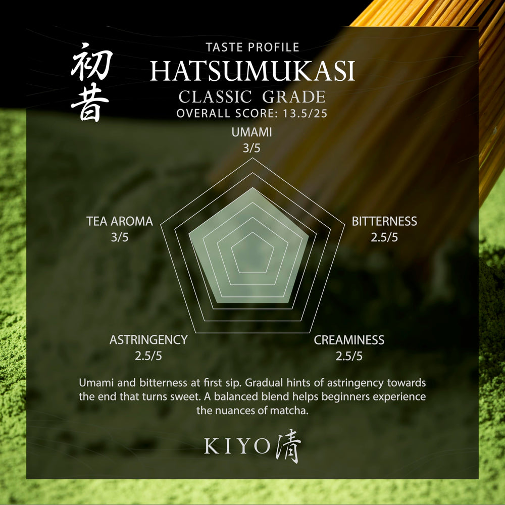 Kiyo Matcha primer plano del polvo resaltando textura fina y color