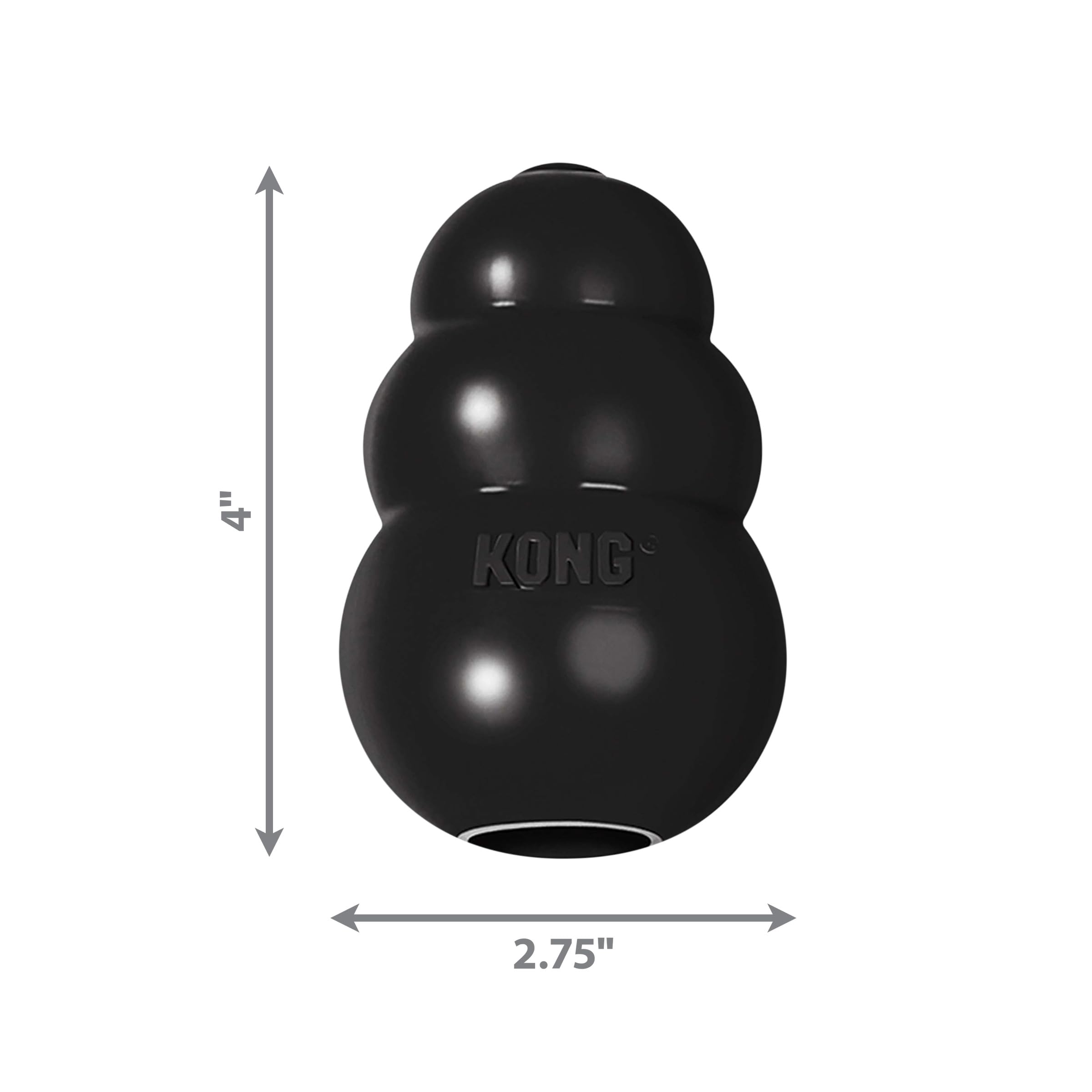 KONG extremo perro jugando fetch demostrando resistencia y rebote