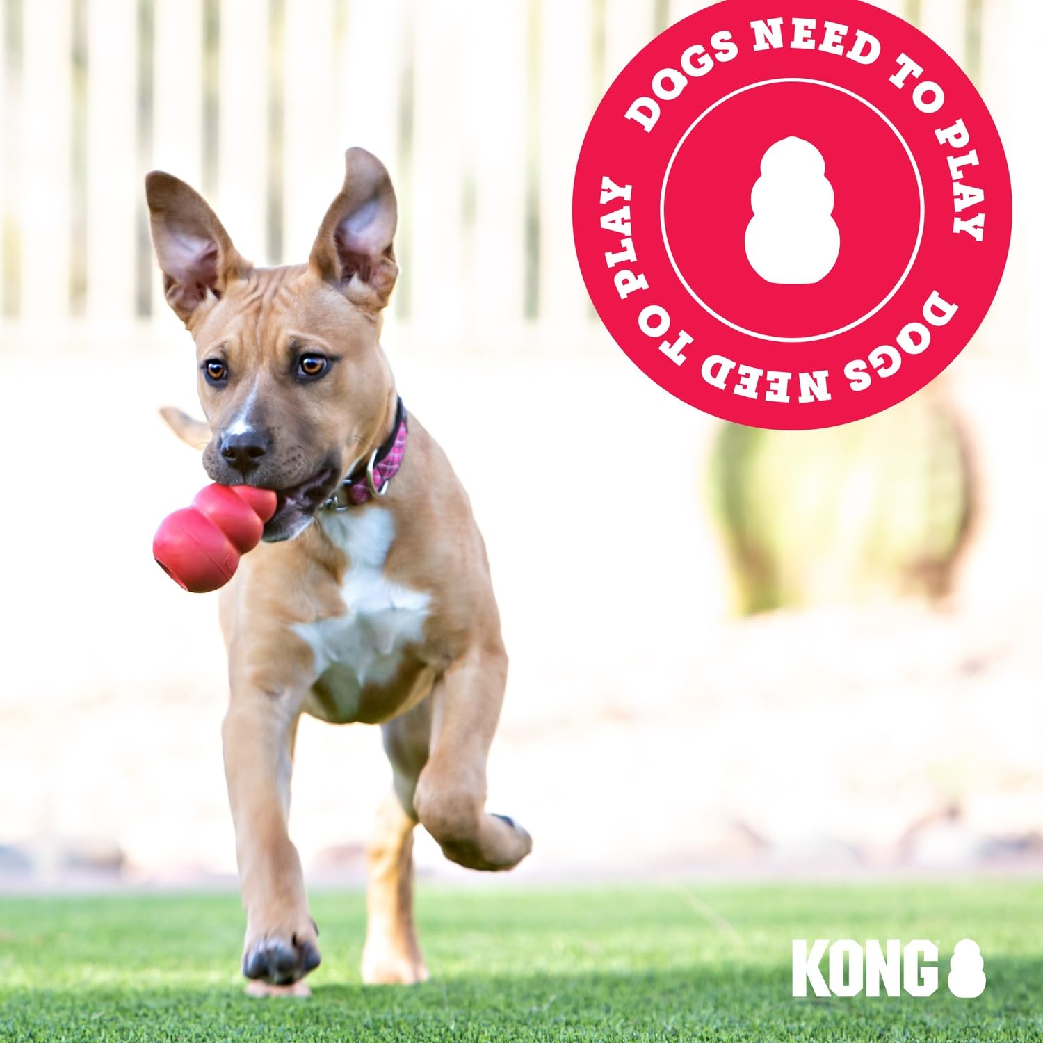 KONG Wobbler en cocina promoviendo comidas más lentas y activas
