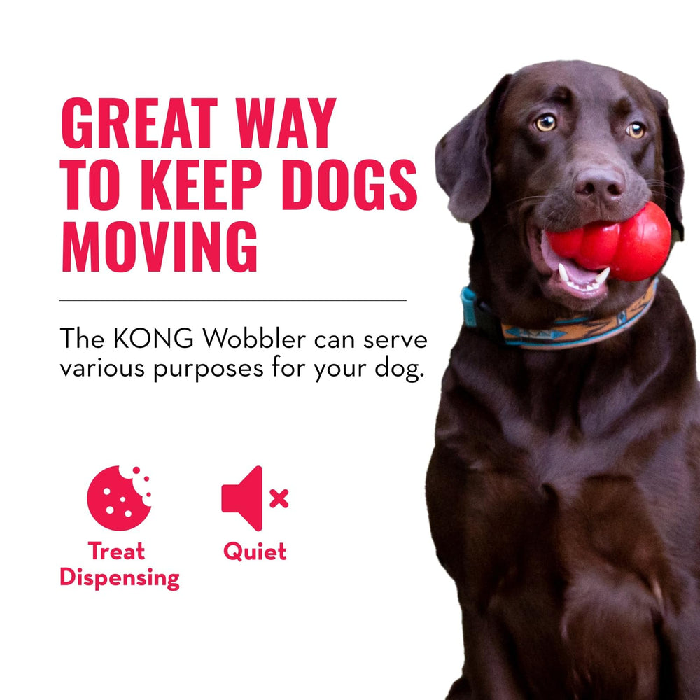 KONG Wobbler y una pelota para comparar tamaño y escala