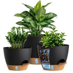 KUGAZ pack frontal 3 macetas autorriego, ideal para interiores